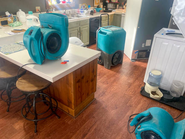 Best Sewage cleanup and water damage restoration  in Morrisville, VT