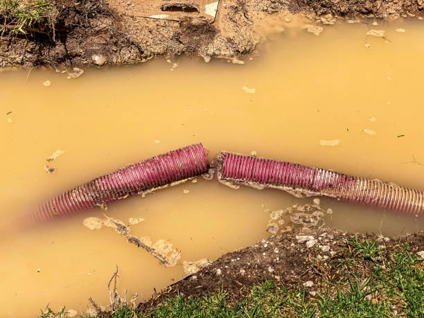 Best Water damage restoration cost  in Morrisville, VT